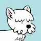 Westie dog