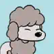 Poodle dog