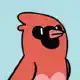 Red cardinal