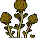 Sunflower small